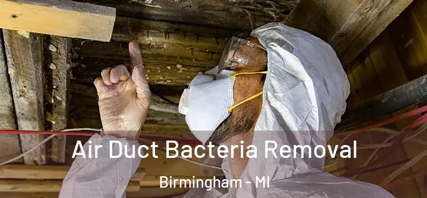  Air Duct Bacteria Removal Birmingham - MI