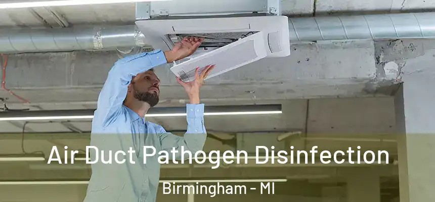  Air Duct Pathogen Disinfection Birmingham - MI