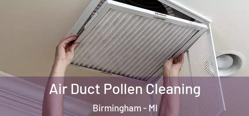  Air Duct Pollen Cleaning Birmingham - MI