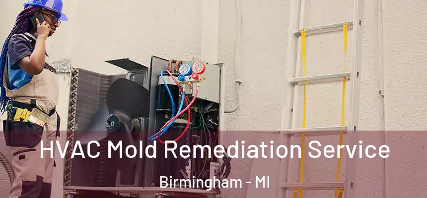  HVAC Mold Remediation Service Birmingham - MI