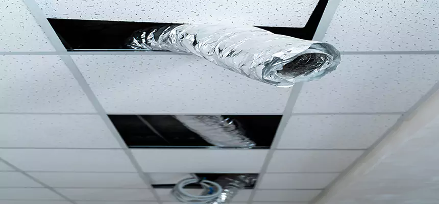 Affordable HVAC Sanitizing After Pest Removal in Birmingham