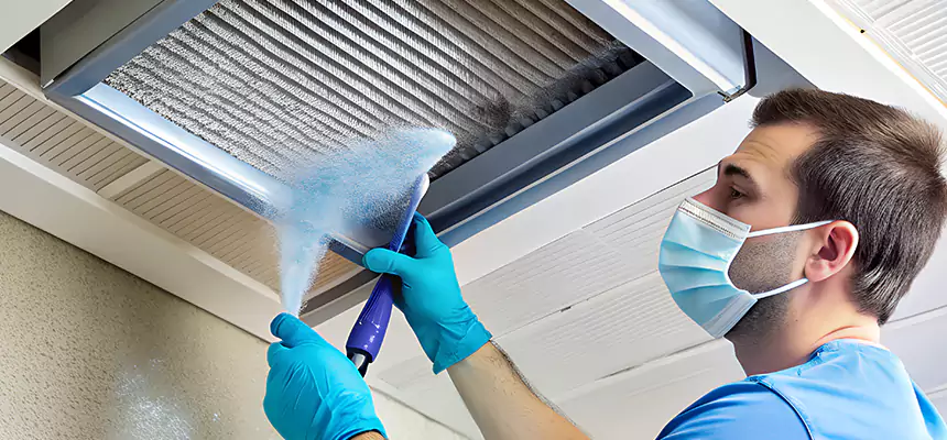 Proactive Dryer Vent & Auxiliary Duct Pollen Cleanup in Birmingham, MI