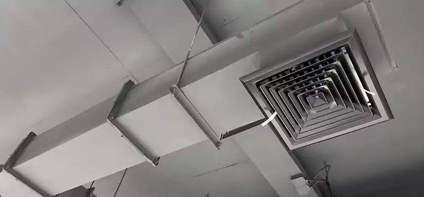 Our Rodent Droppings In Vents Services in Birmingham, MI