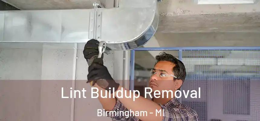  Lint Buildup Removal Birmingham - MI