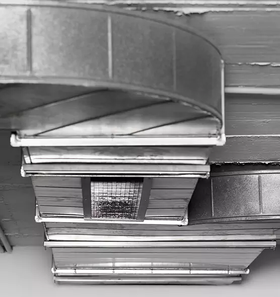 Professional Air Duct Pet Hair Removal in Birmingham, MI