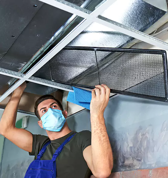 Professional Air Duct Pollen Cleaning in Birmingham, MI