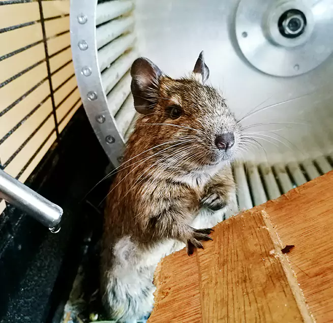 Why Homeowners & Businesses Trust Us Birmingham, MI