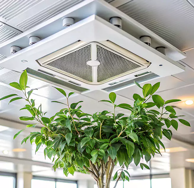 Why Homeowners & Businesses Trust Us in Birmingham, MI?