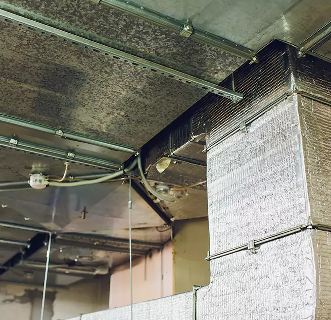 Why Homeowners & Businesses Trust Us in Birmingham, MI?