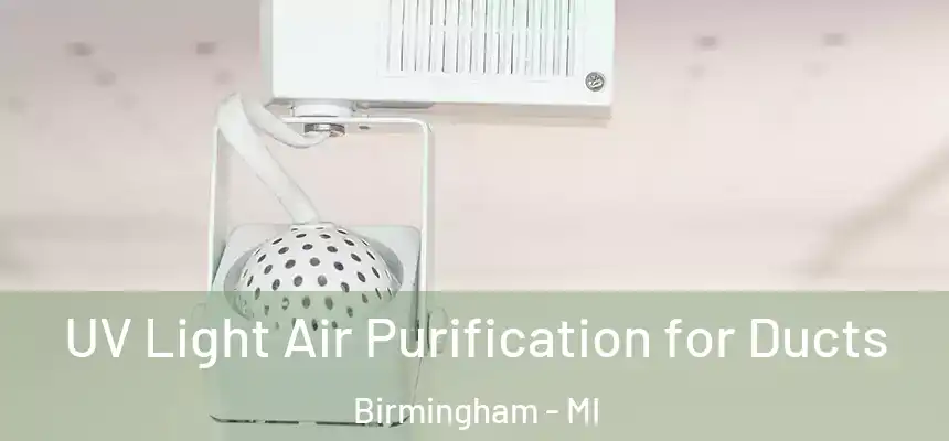  UV Light Air Purification for Ducts Birmingham - MI